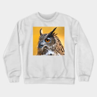 Eurasian Eagle Owl Crewneck Sweatshirt